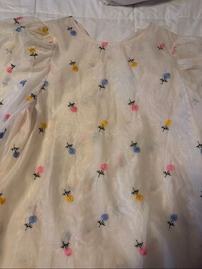 Vine & Love Ivory Sheer Blouse with Pink, Blue & Yellow Embroidery
